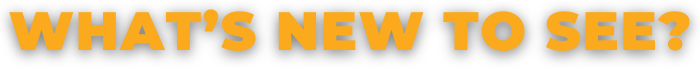 What's new to see?